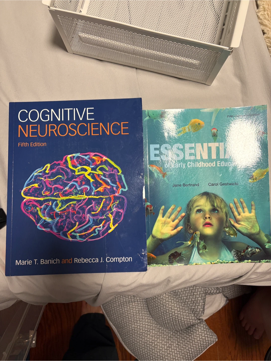 Cognitive Neuroscience