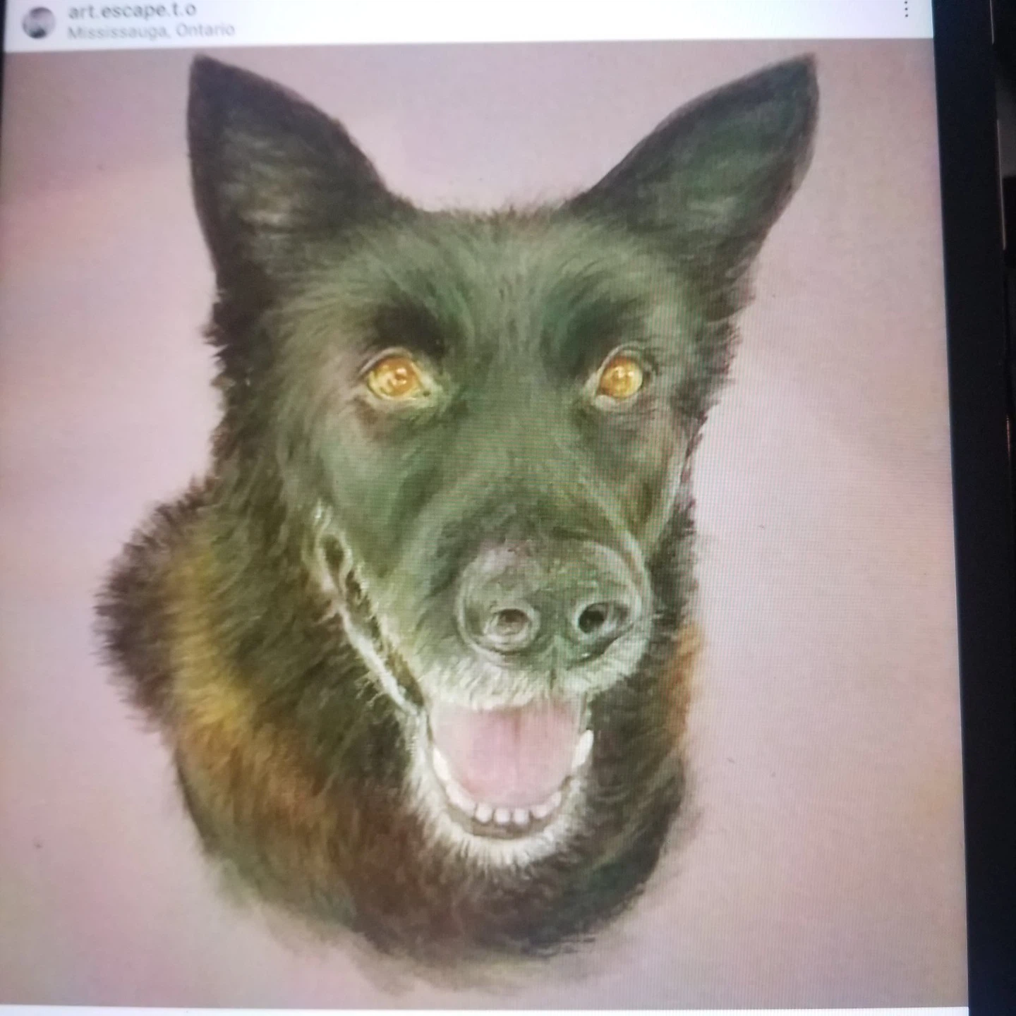 Custom portraits, pets or people - photo 5