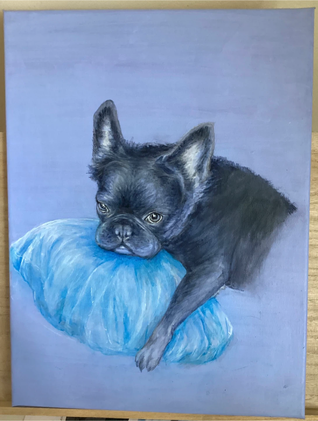 Custom portraits, pets or people