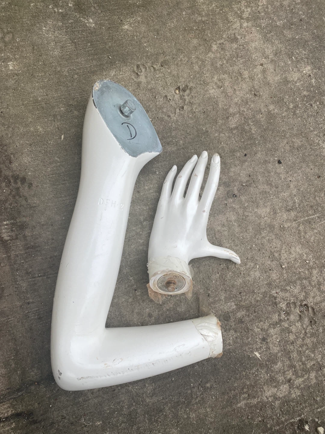 Mannequin Torso and Body Parts - photo 3