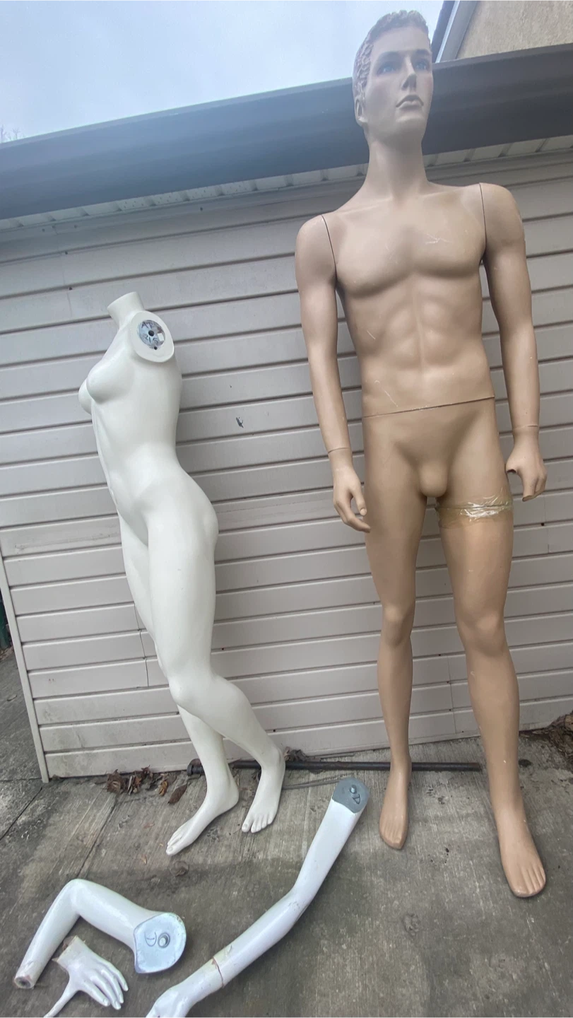 Mannequin Torso and Body Parts