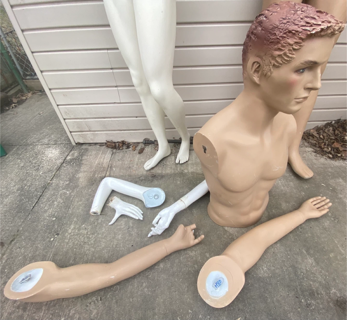 Mannequin Torso and Body Parts - photo 4