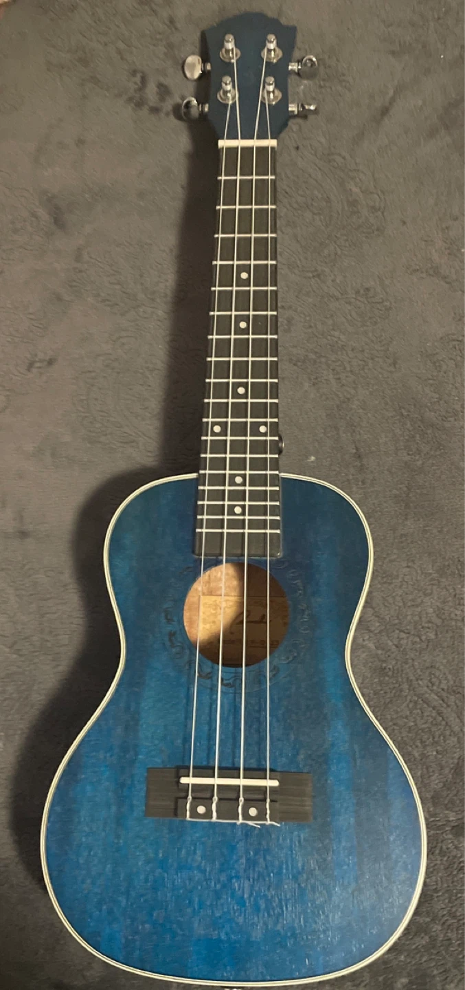 Acoustic Guitar and Ukulele Bundle - photo 4