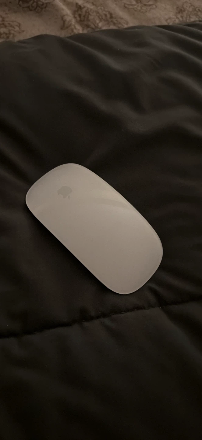 Apple Magic Mouse