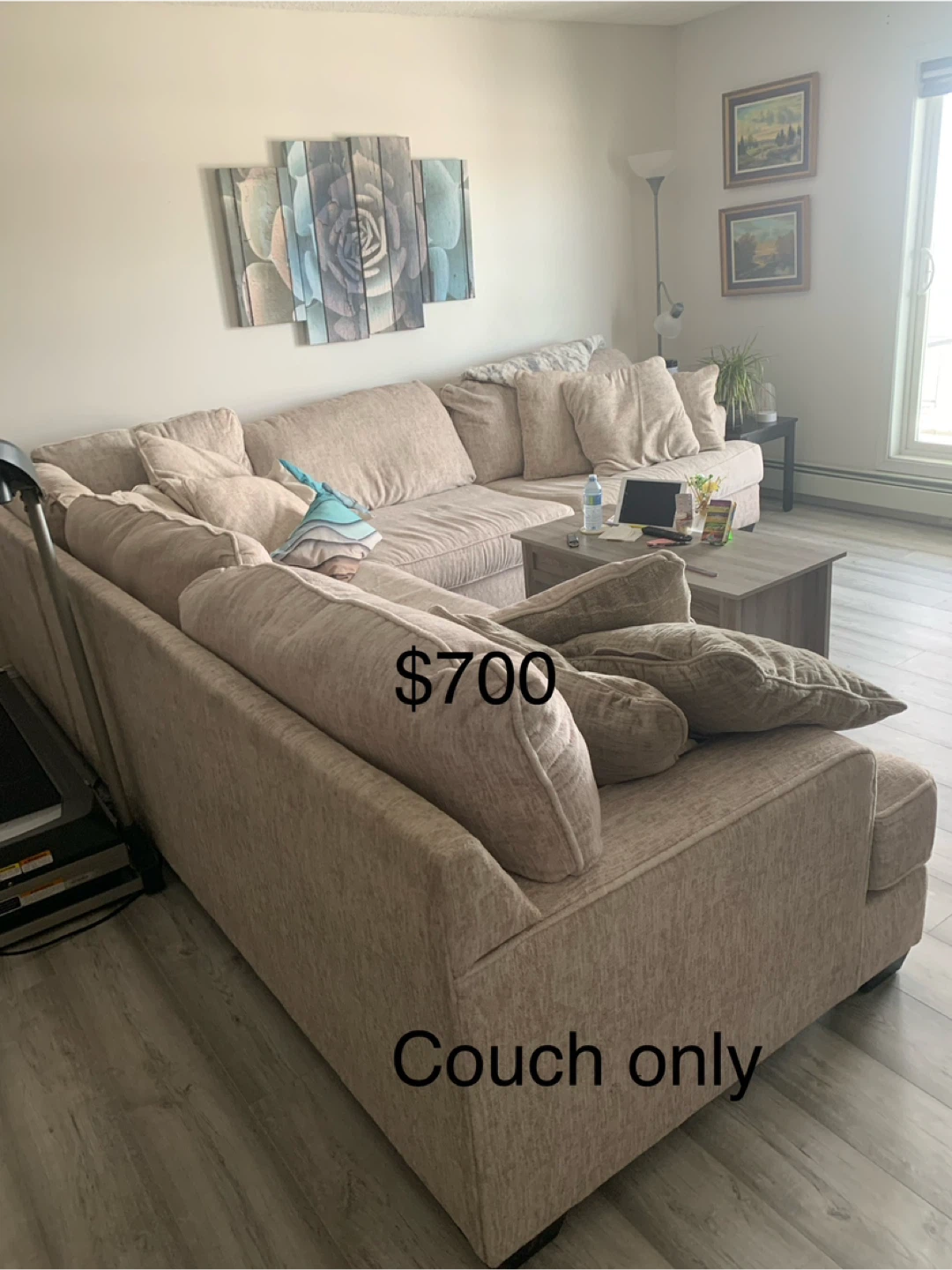 Large Sectional Couch - photo 2