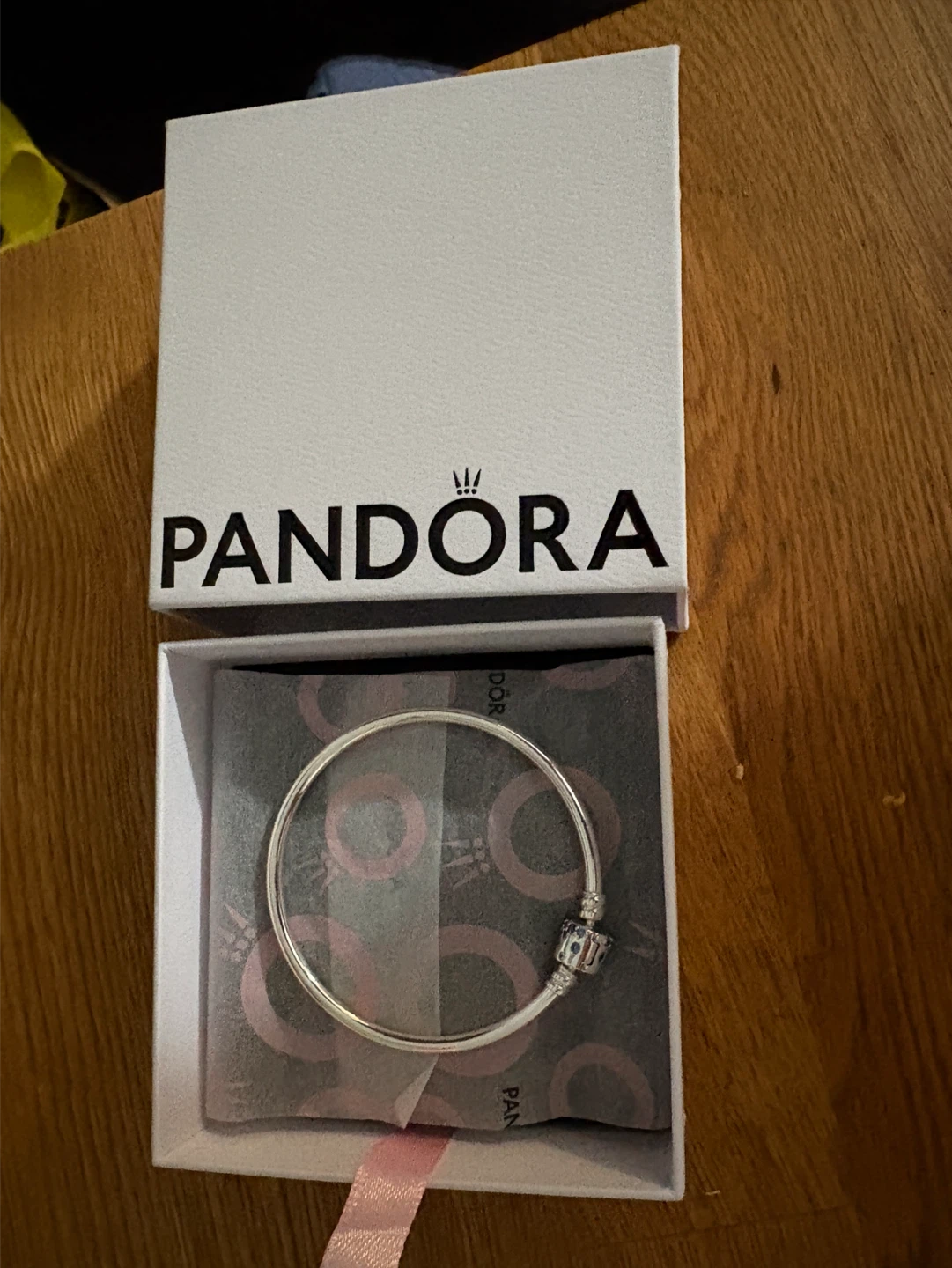 Pandora Sterling Silver Charm Bracelet with Blue Charm