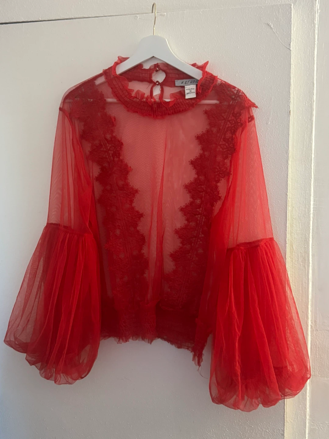 Red Sheer Lace Trim Balloon Sleeve Top