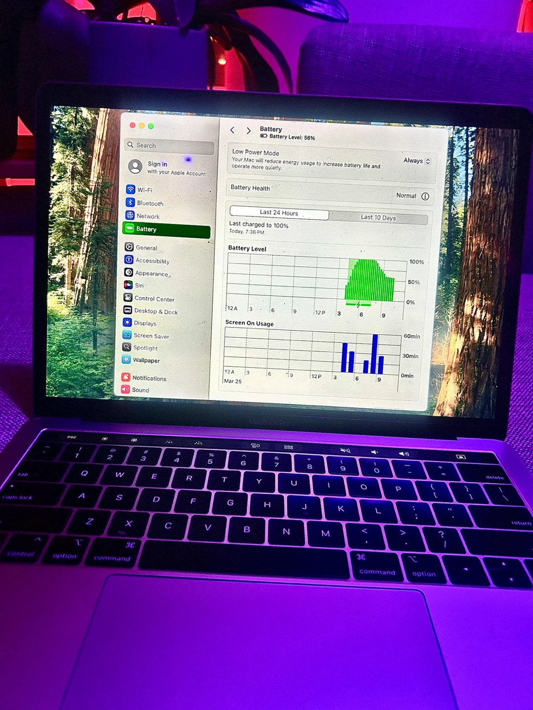 Apple MacBook Pro 13-inch, 2018 - photo 3