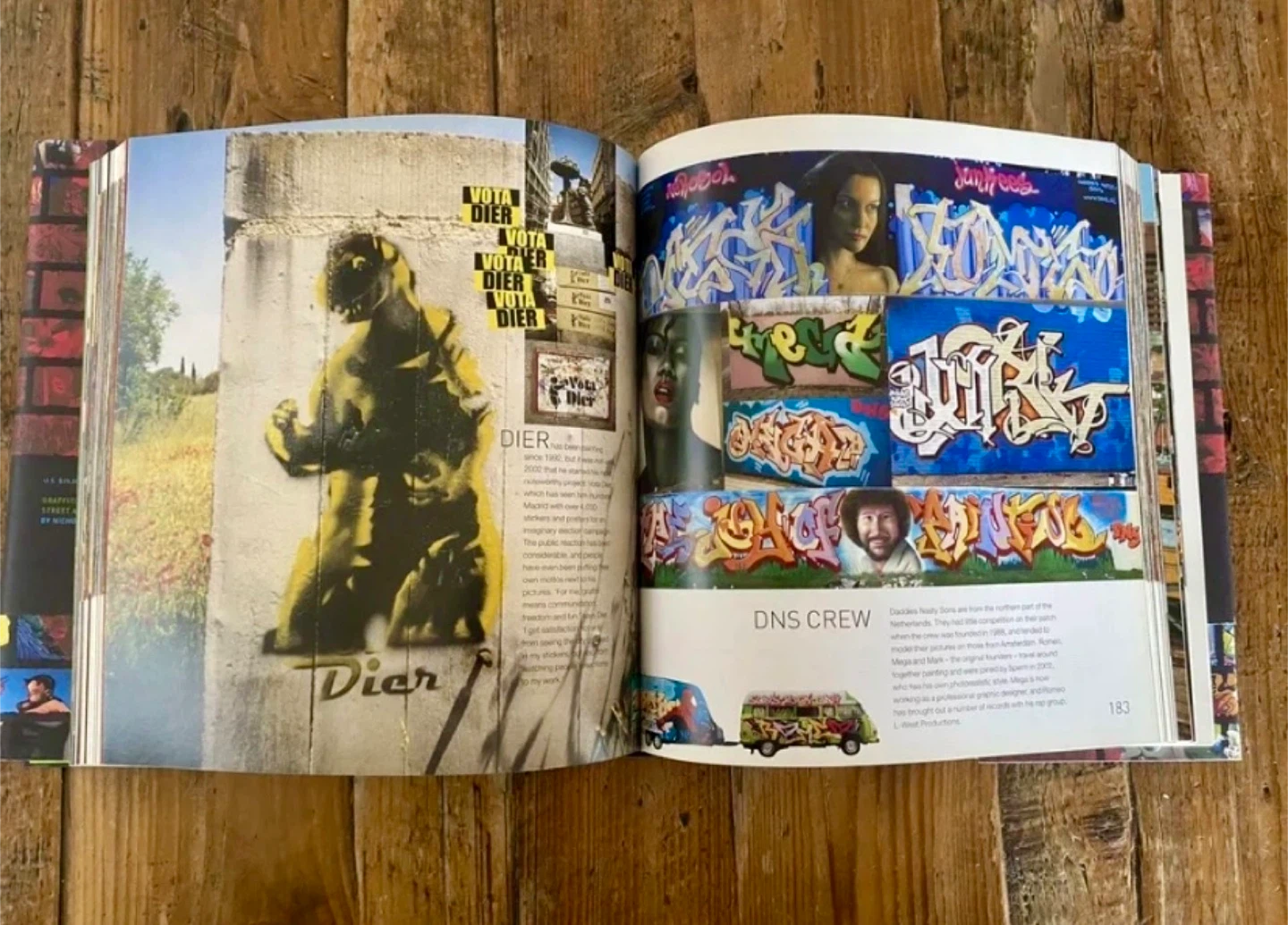 Graffiti World: Street Art from Five Continents Hardcover – 2004 - photo 5