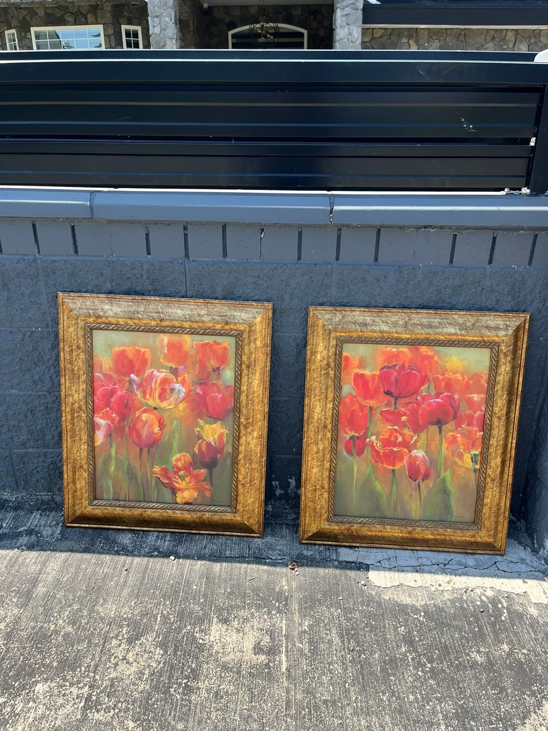 Pair of Framed Tulip Paintings