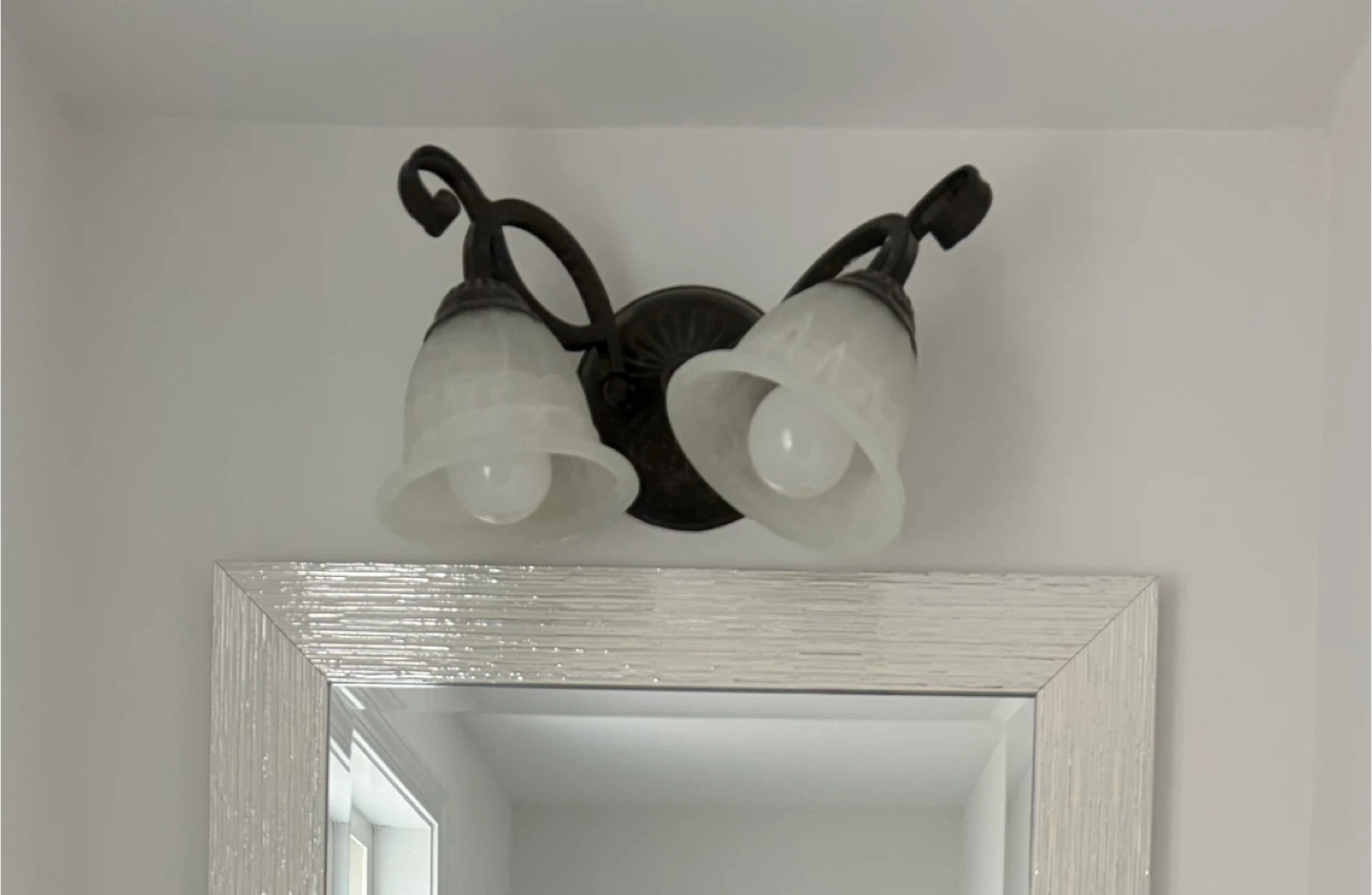 Vanity Light + Bulbs - photo 2