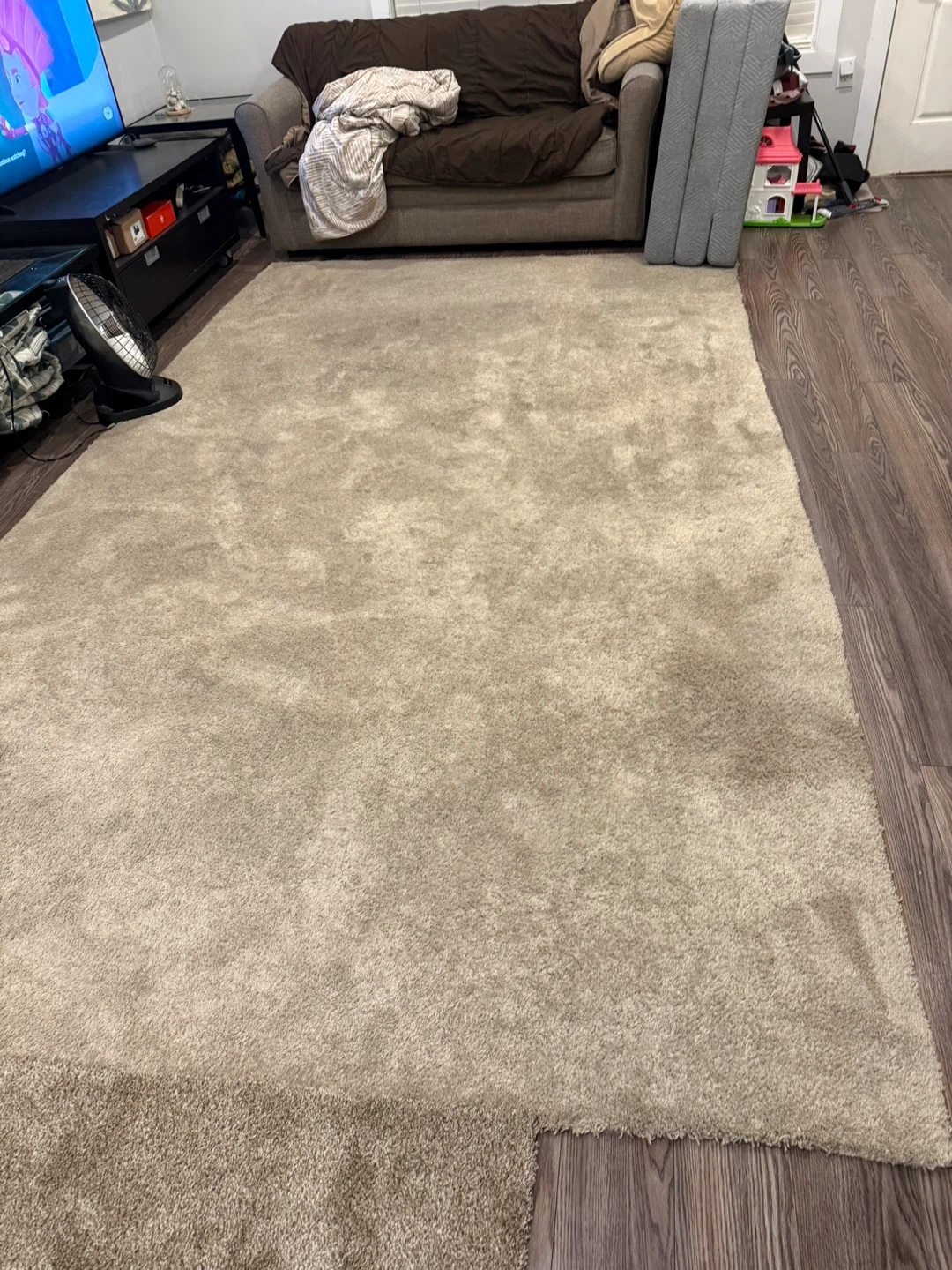 Large Shaggy Area Rug - Beige