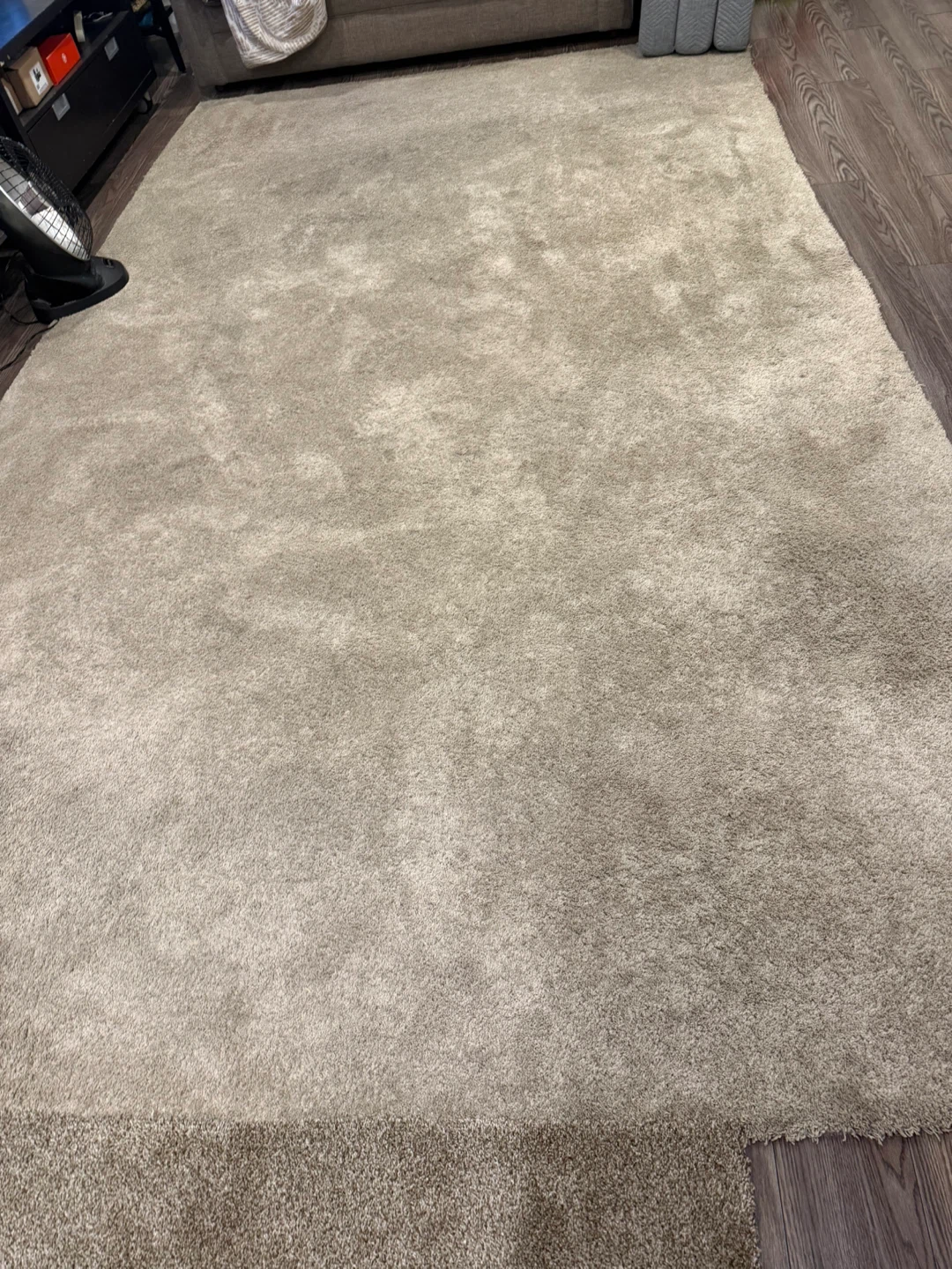 Large Shaggy Area Rug - Beige - photo 2