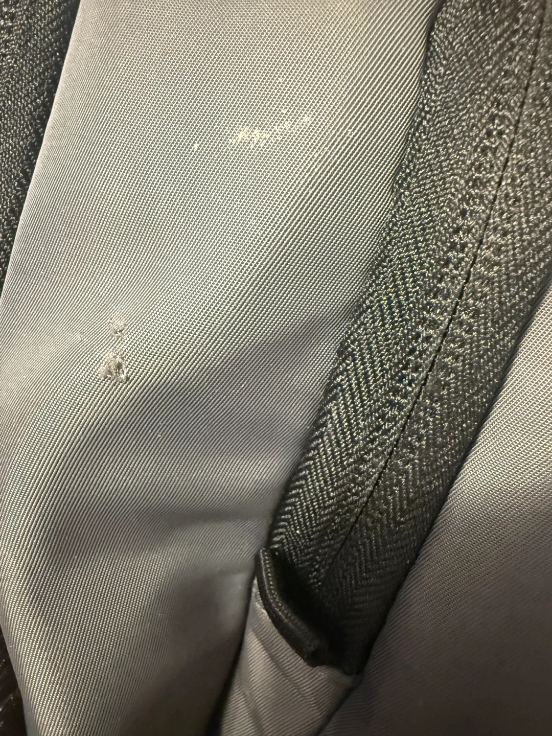 Gray Backpack with Padded Straps - photo 4