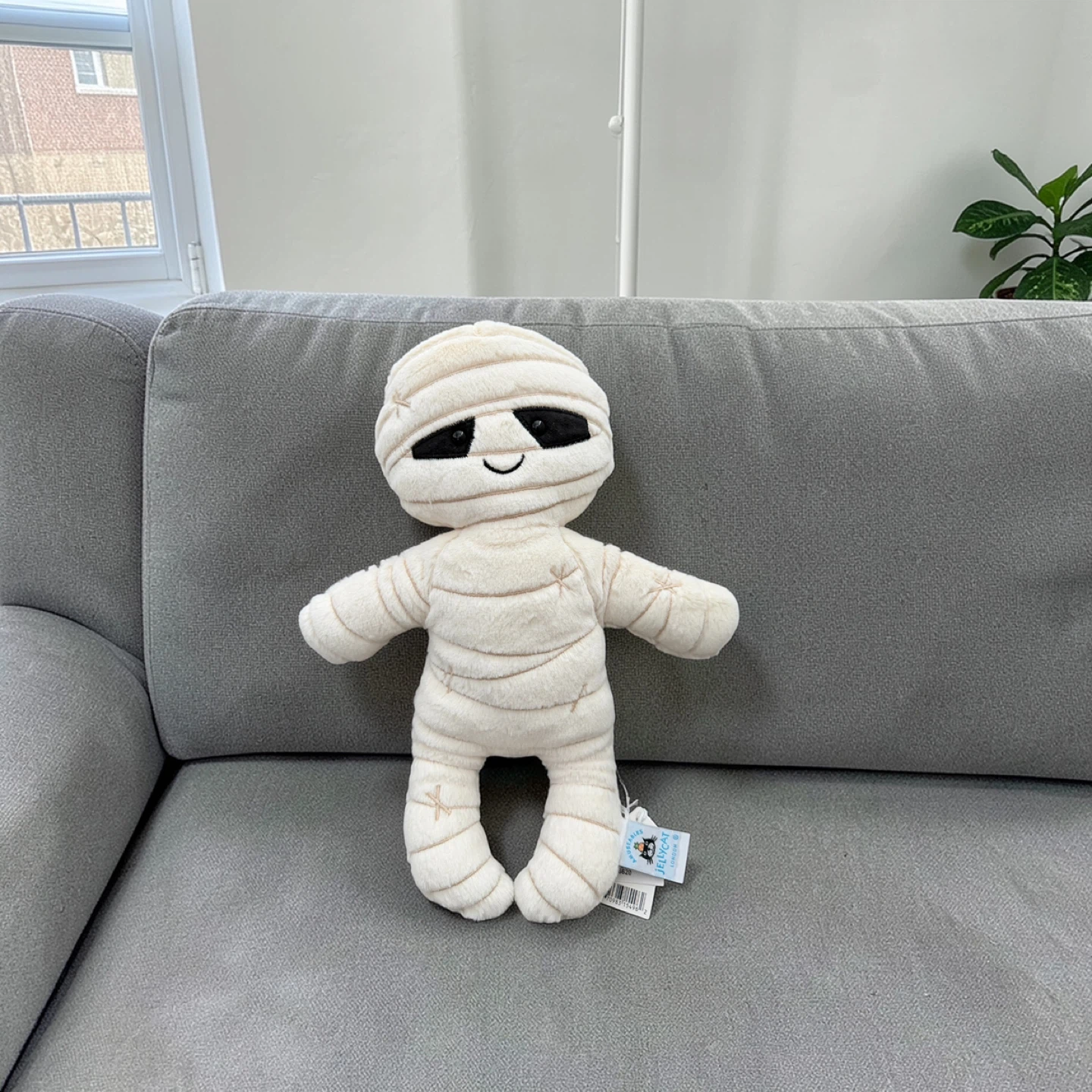🤍𝐀𝐔𝐓𝐇𝐄𝐍𝐓𝐈𝐂 𝐉𝐞𝐥𝐥𝐲𝐜𝐚𝐭 𝐌𝐮𝐦𝐦𝐲 𝐁𝐨𝐛🤍