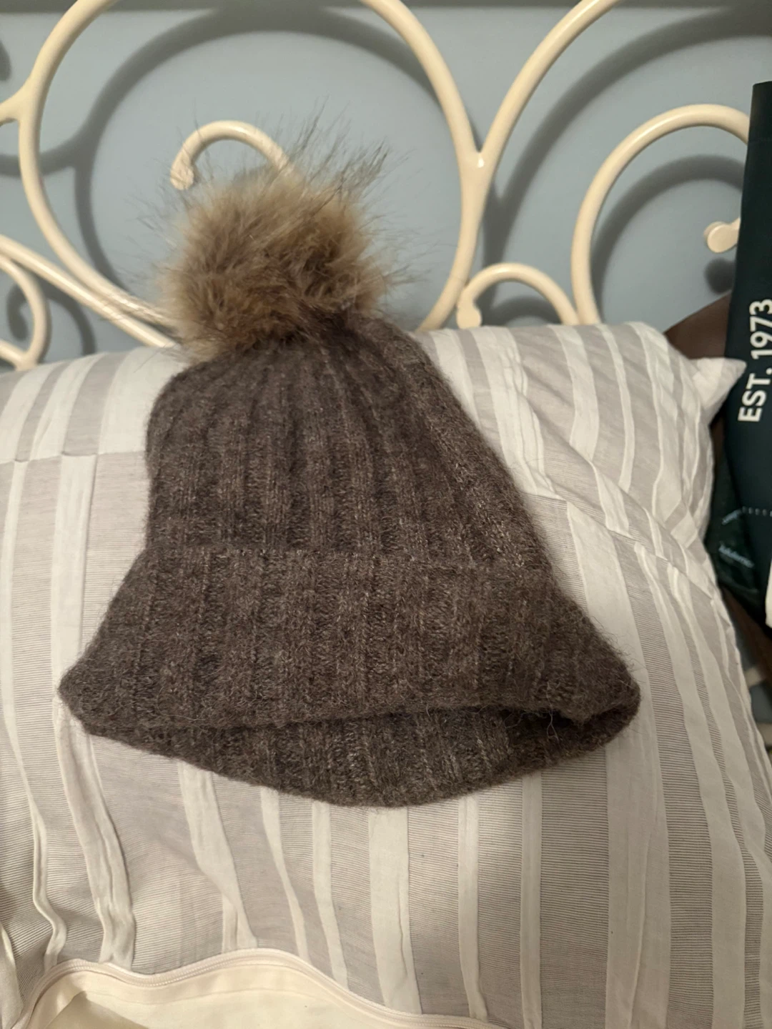 Aritzia  Knitted Beanie with Pom-Pom