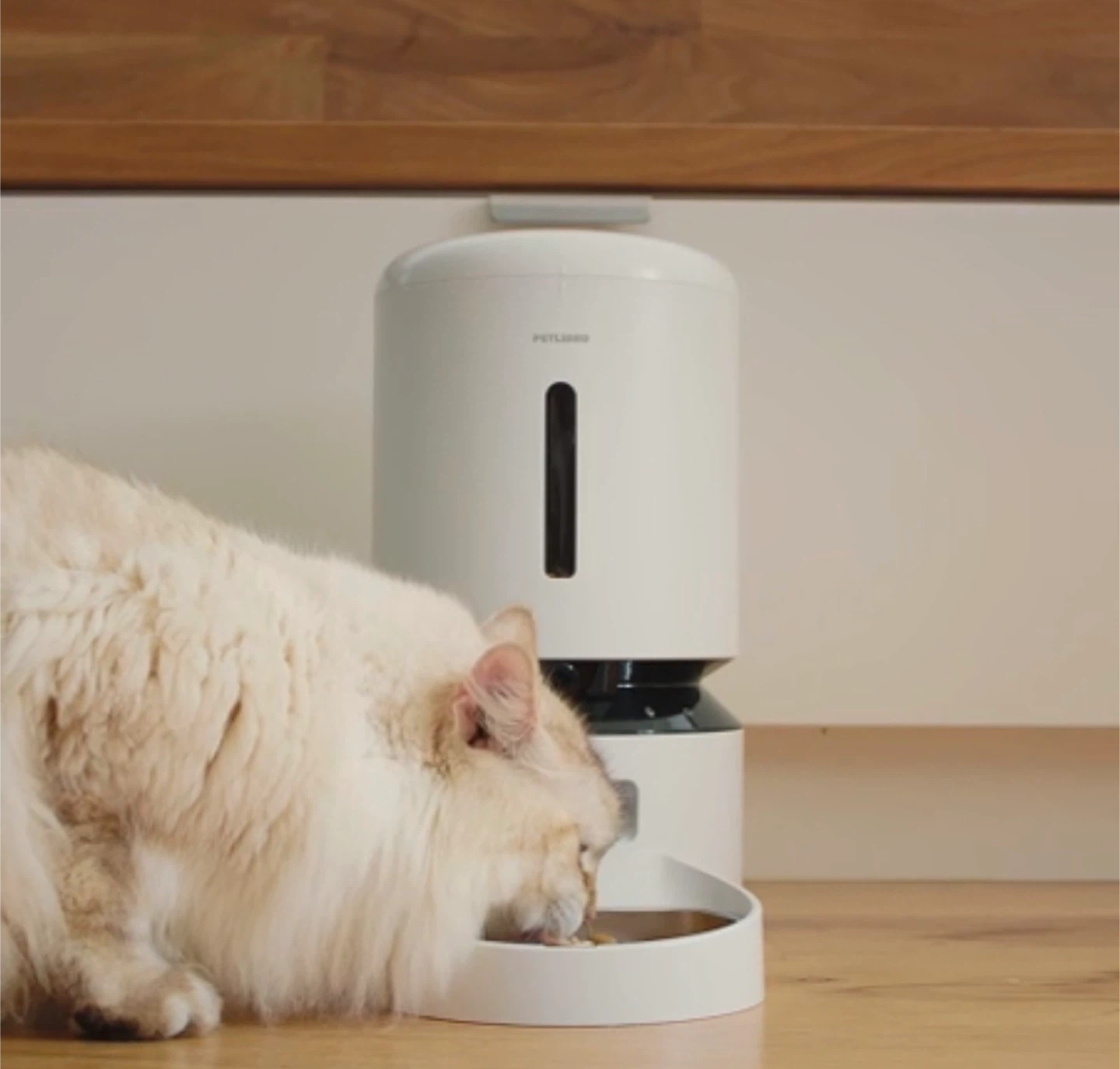 Petlibro Automatic Pet Feeder with Camera - photo 2