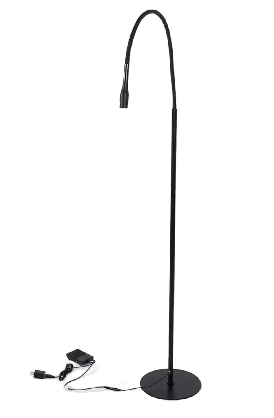 Black Gooseneck Floor Lamp with USB Power