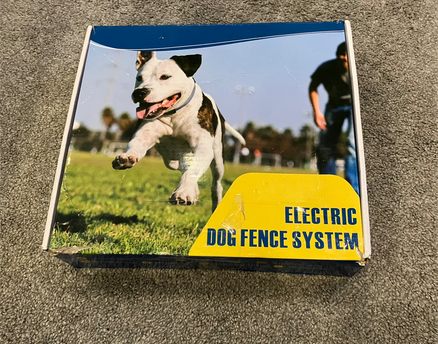 Electric Dog Fence