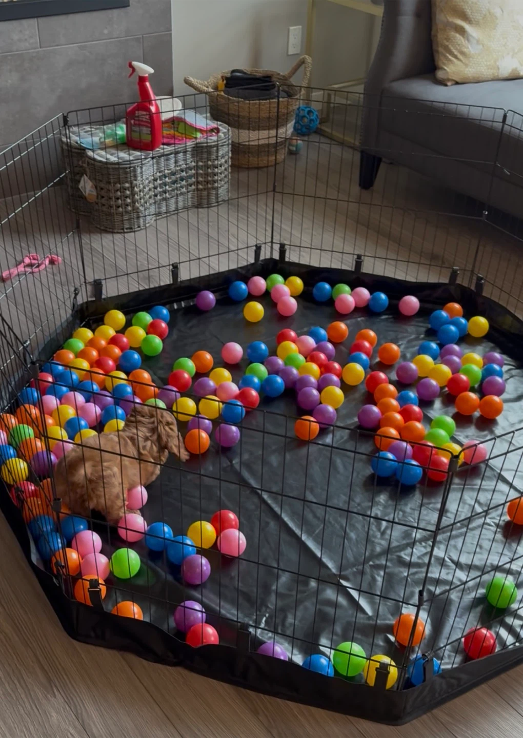 PJYuCien Dog Playpen Metal