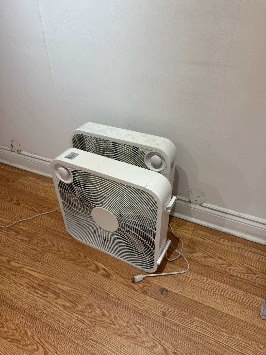 White Box Fan (SET OF 2)