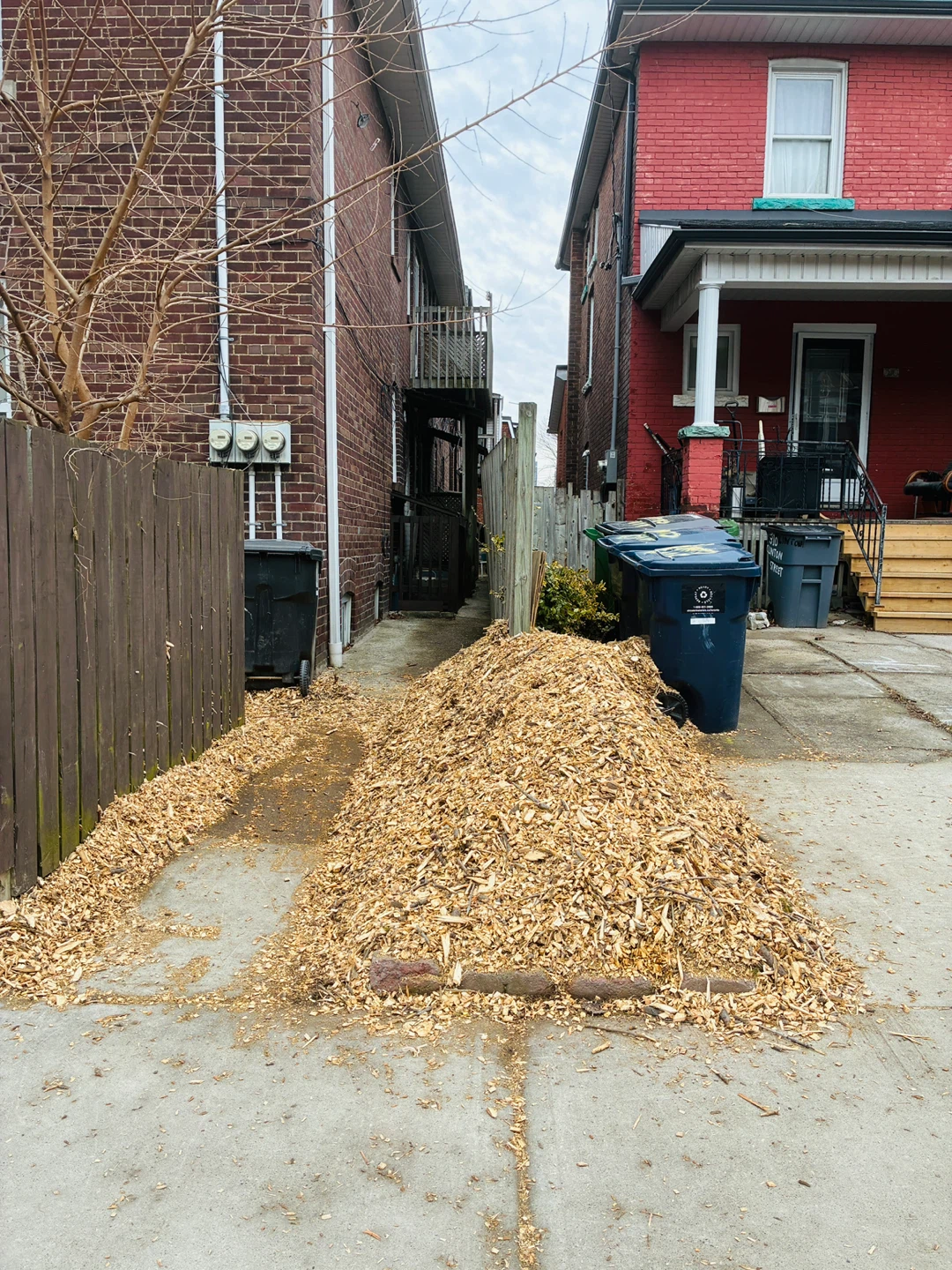 Free wood chips