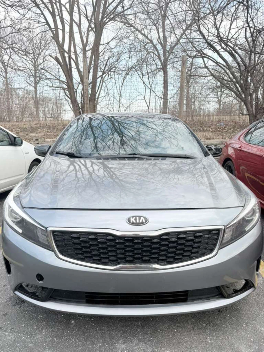 2017 Kia Forte - photo 3