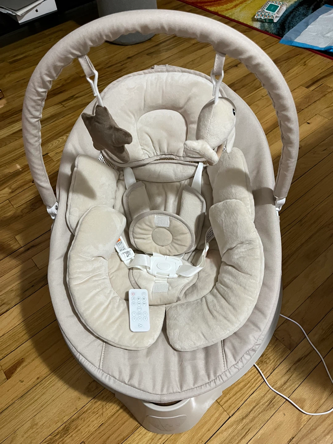 Baby swing with Remote