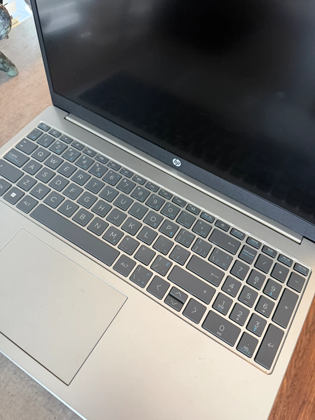 HP Laptop
