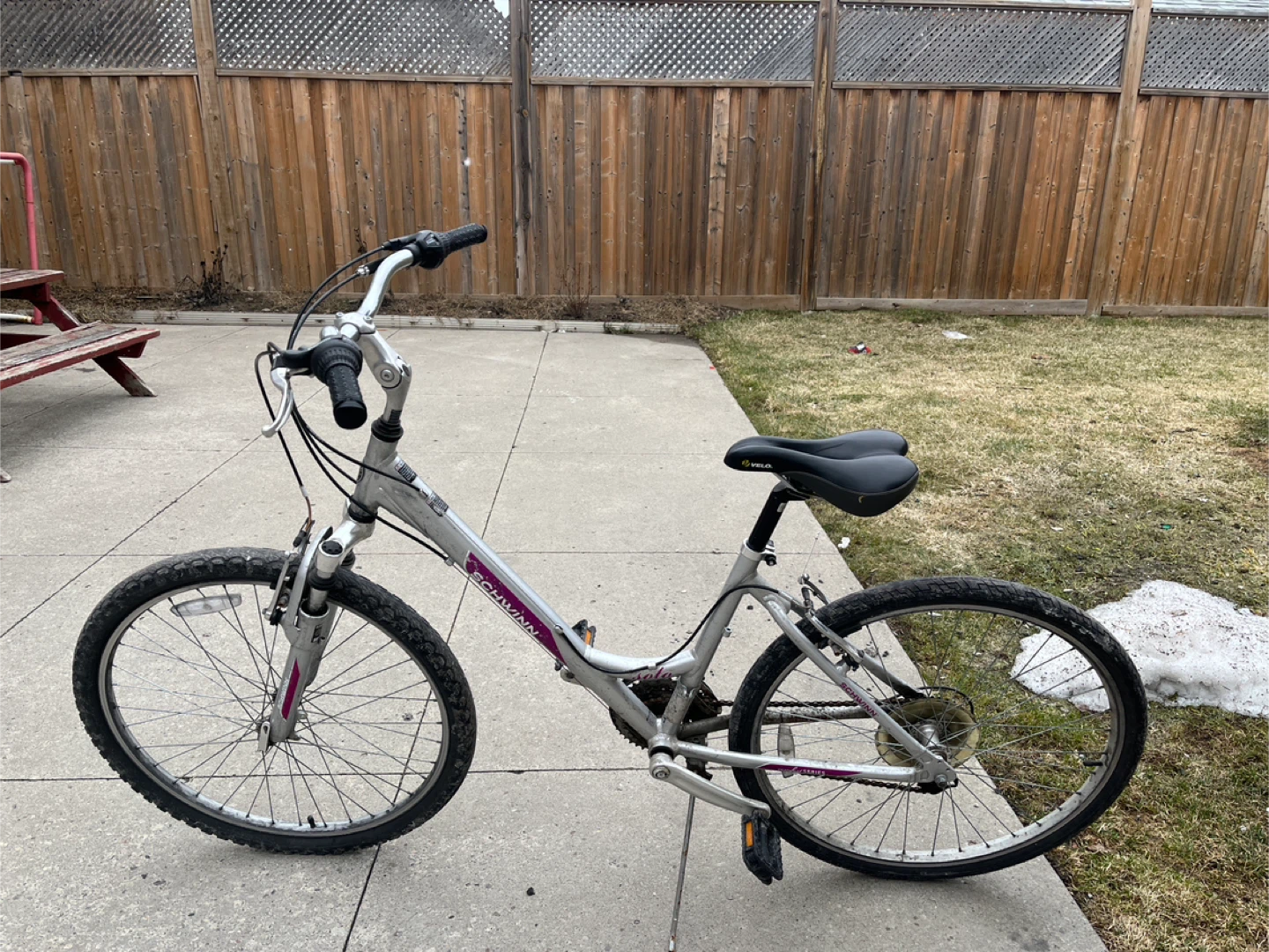 Women's Mountain Bike