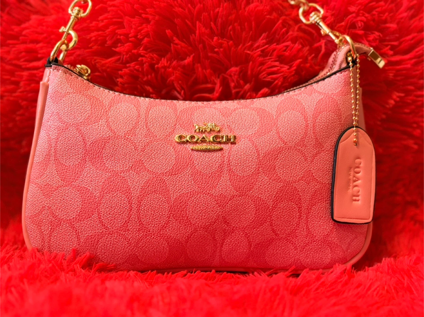Coach Monogram Small Shoulder Bag