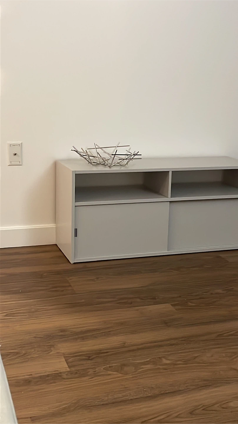 Entertainment Console