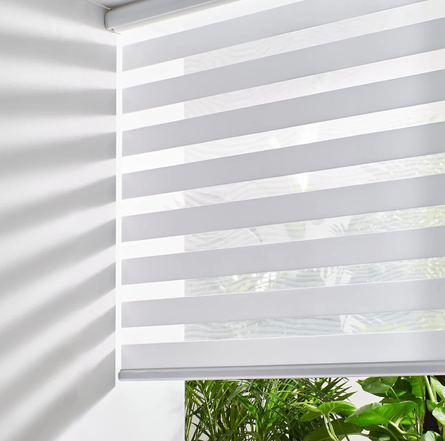 NEW 2X Cordless Zebra Blinds, 43” W x 72” H