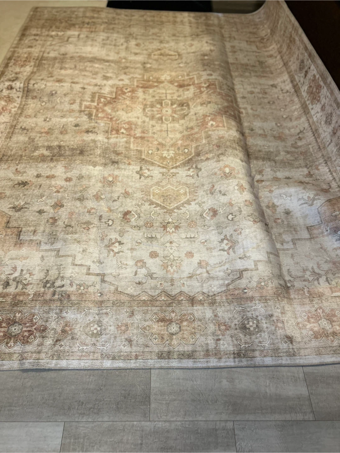 Large Rug (8'6" x 11'6") - photo 2