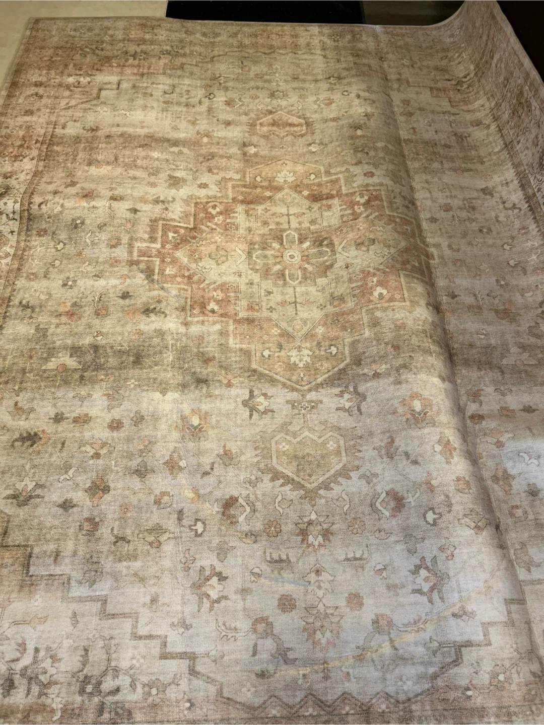 Large Rug (8'6" x 11'6") - photo 3