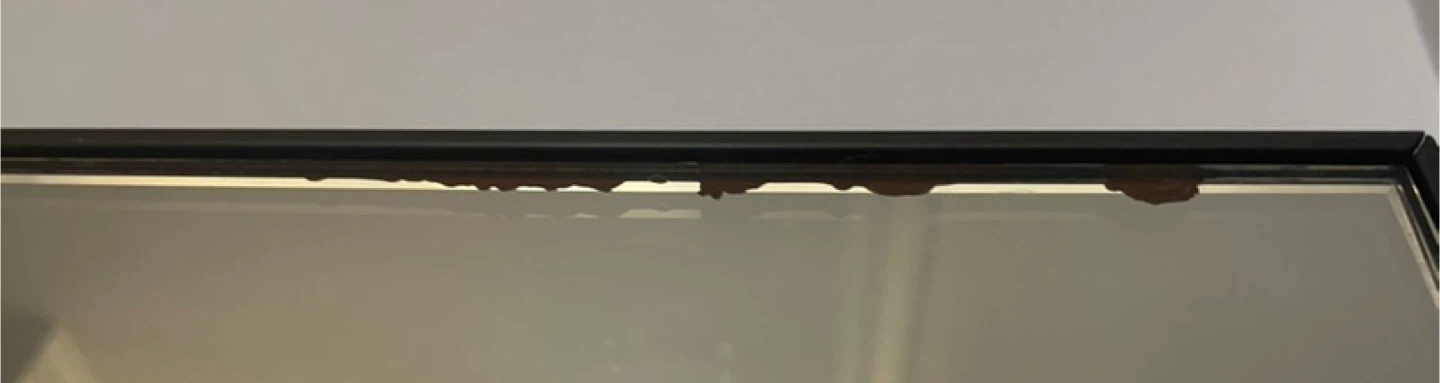 Crate & Barrel Floor Mirror - photo 4
