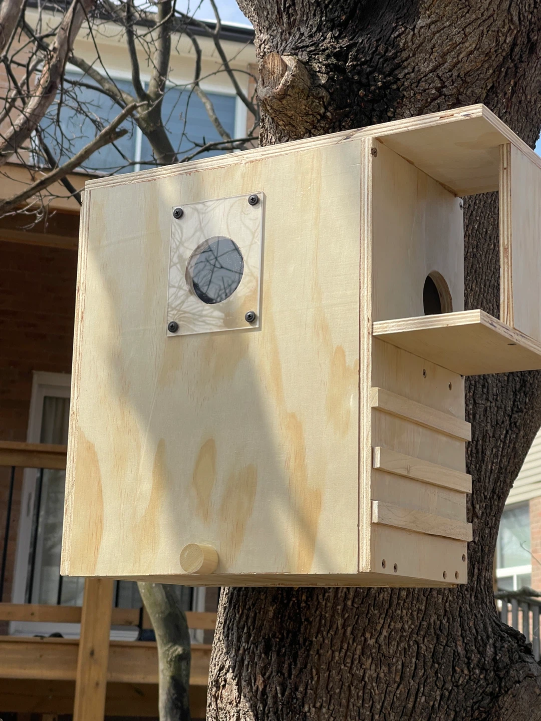 Wooden squirrel box condo - photo 2