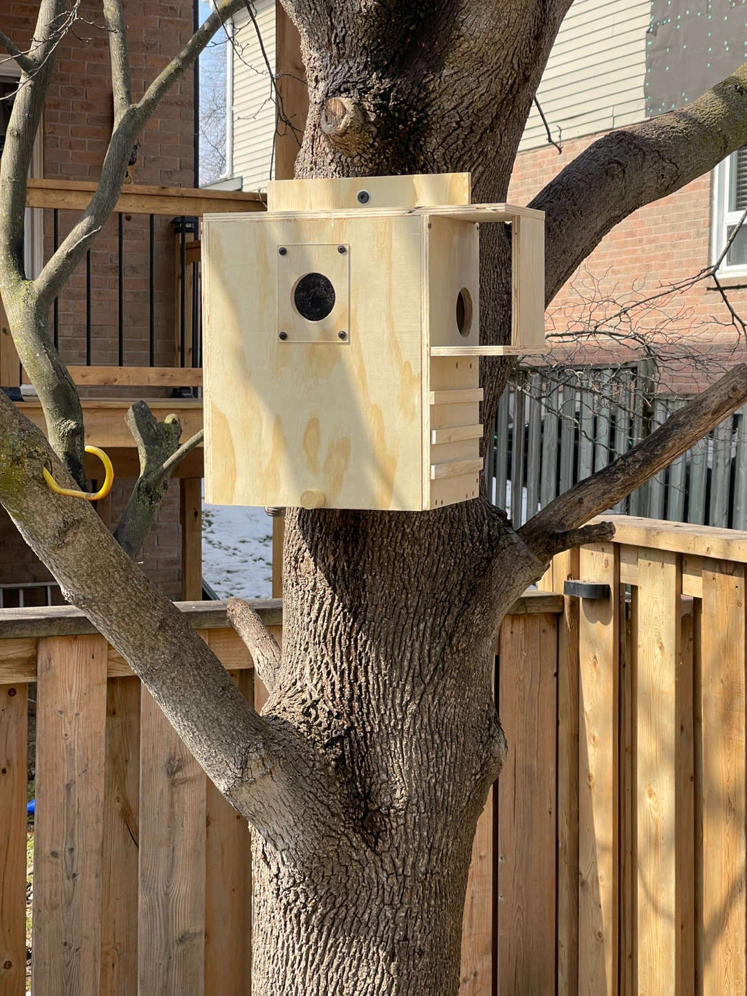 Wooden squirrel box condo