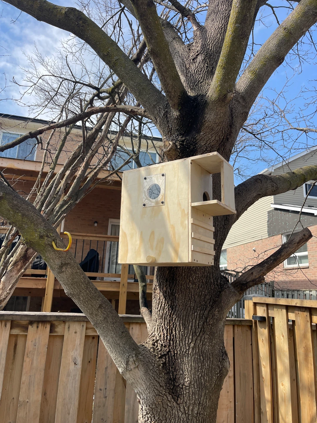 Wooden squirrel box condo - photo 3