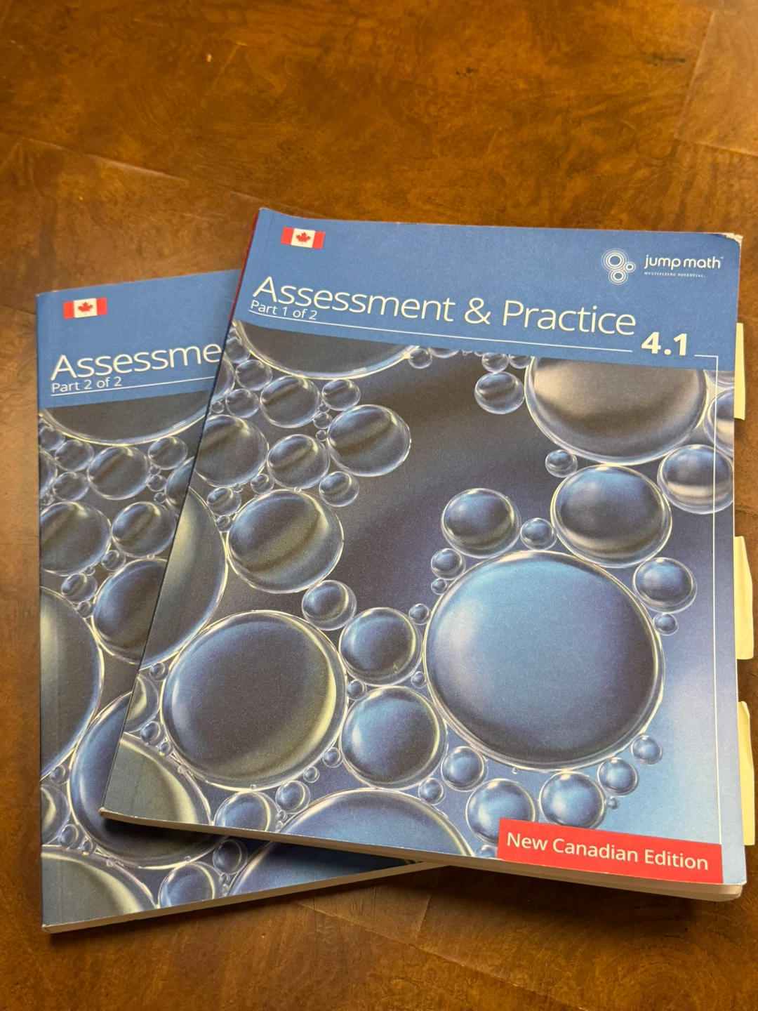 Jump Math Assessment & Practice 4.1 Grade 1-2 Books