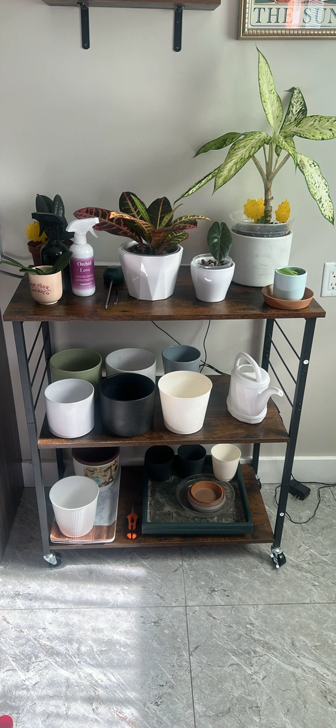 Plants and supplies