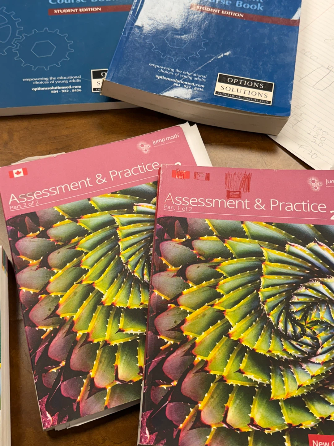 Jump Math Assessment & Practice Books Part 1 & 2