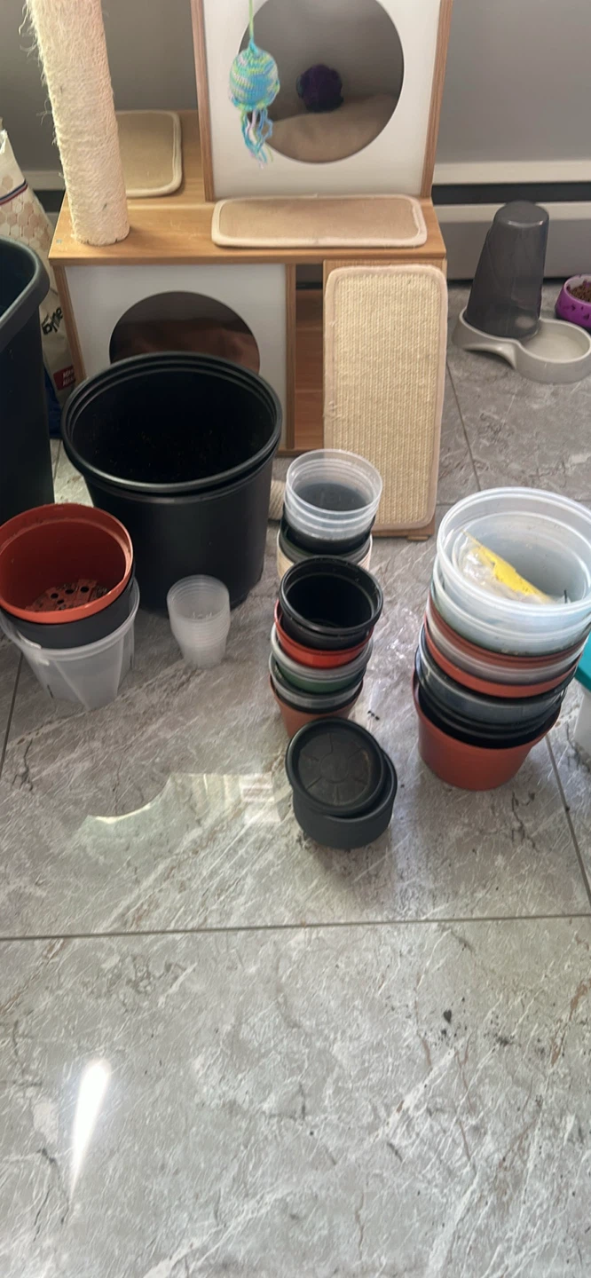 Plants and supplies - photo 4