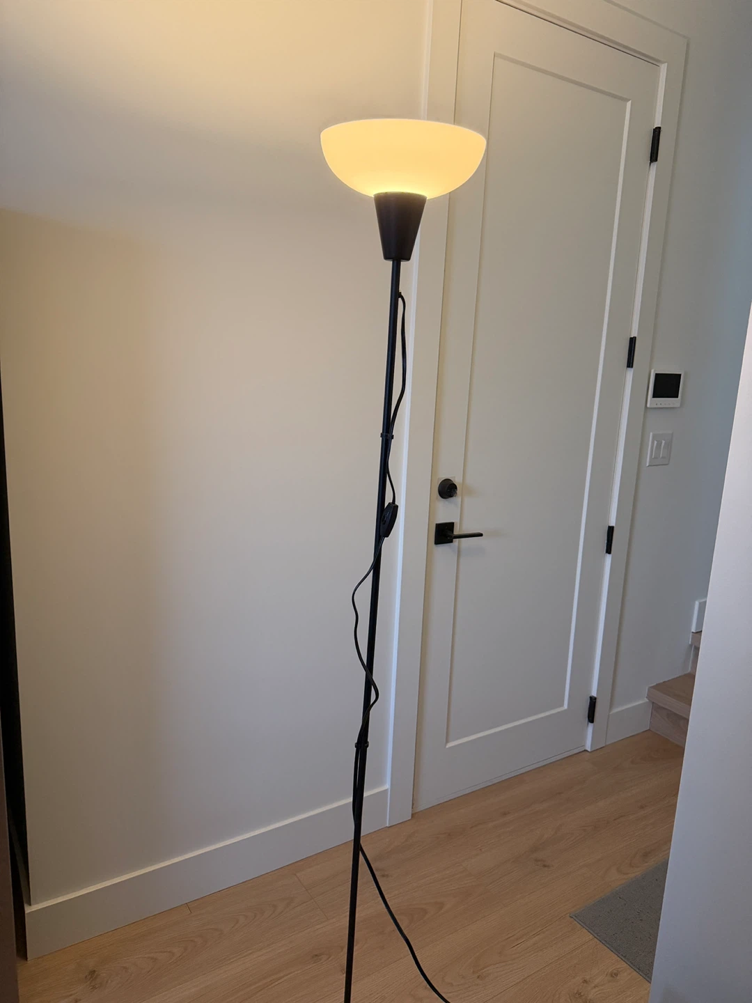Black Floor Lamp