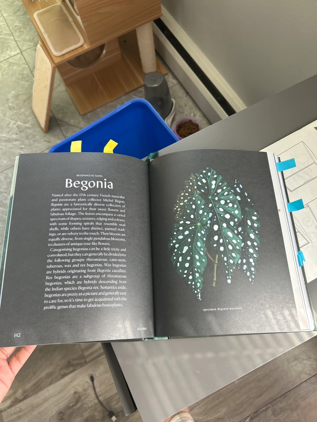 PLANTOPEDIA The Definitive Guide to Houseplants Book - photo 4