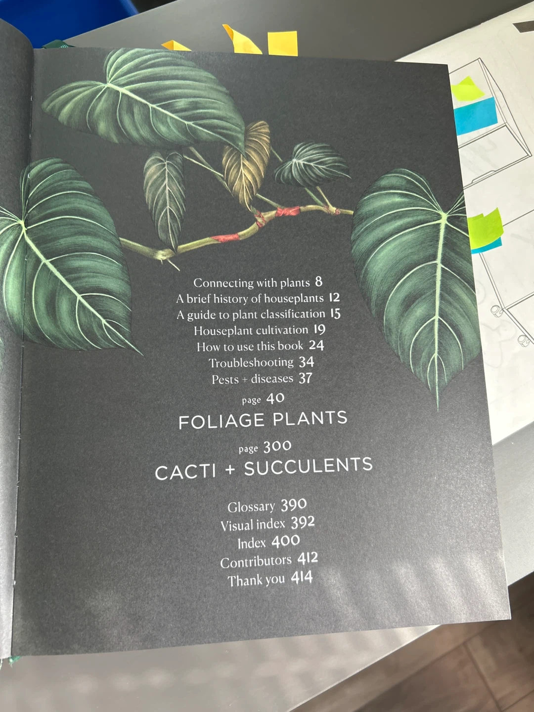 PLANTOPEDIA The Definitive Guide to Houseplants Book - photo 2
