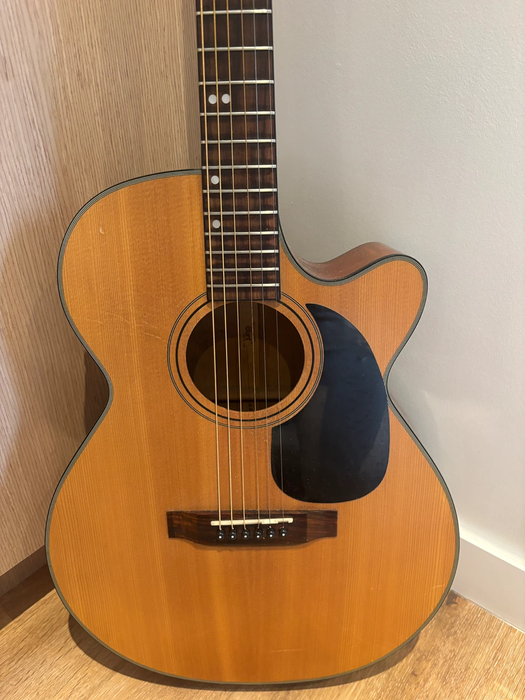 Cort Acoustic Guitar