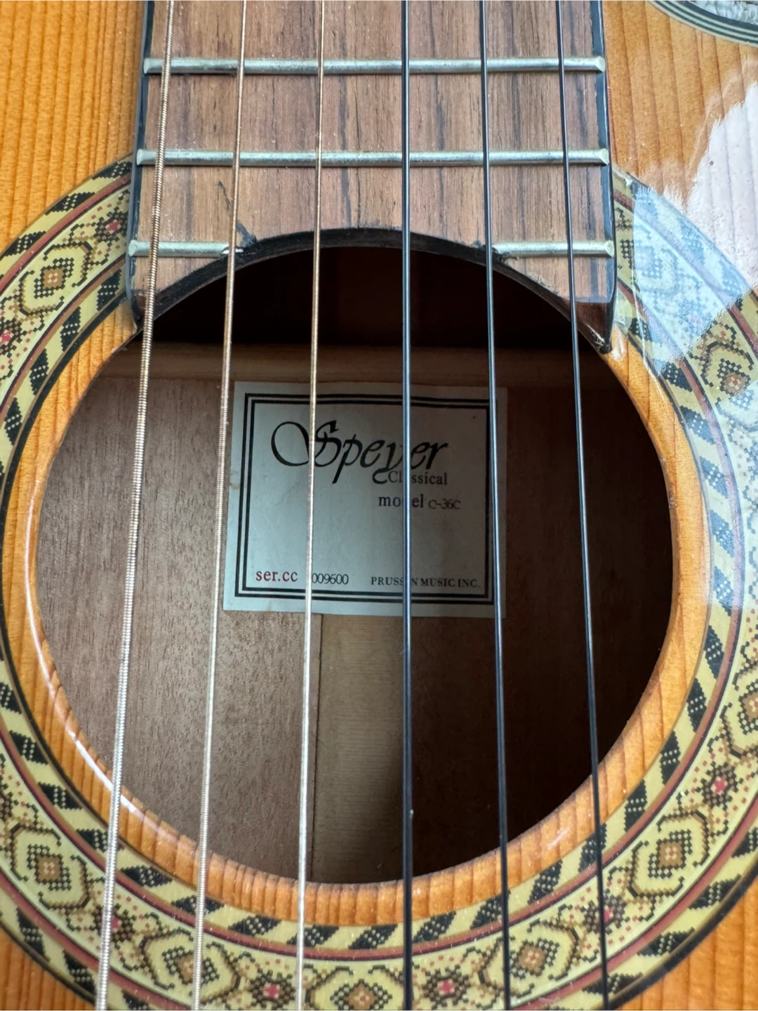 Speyer C-36C Cutaway Classical Acoustic Guitar 🥕 - photo 3