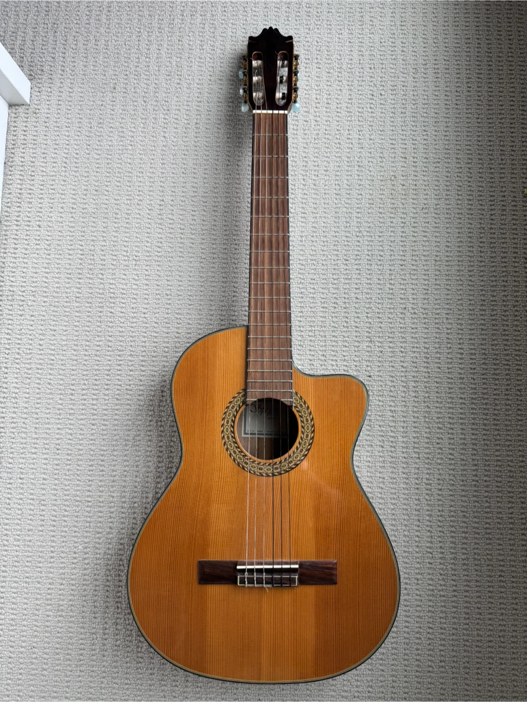 Speyer C-36C Cutaway Classical Acoustic Guitar 🥕