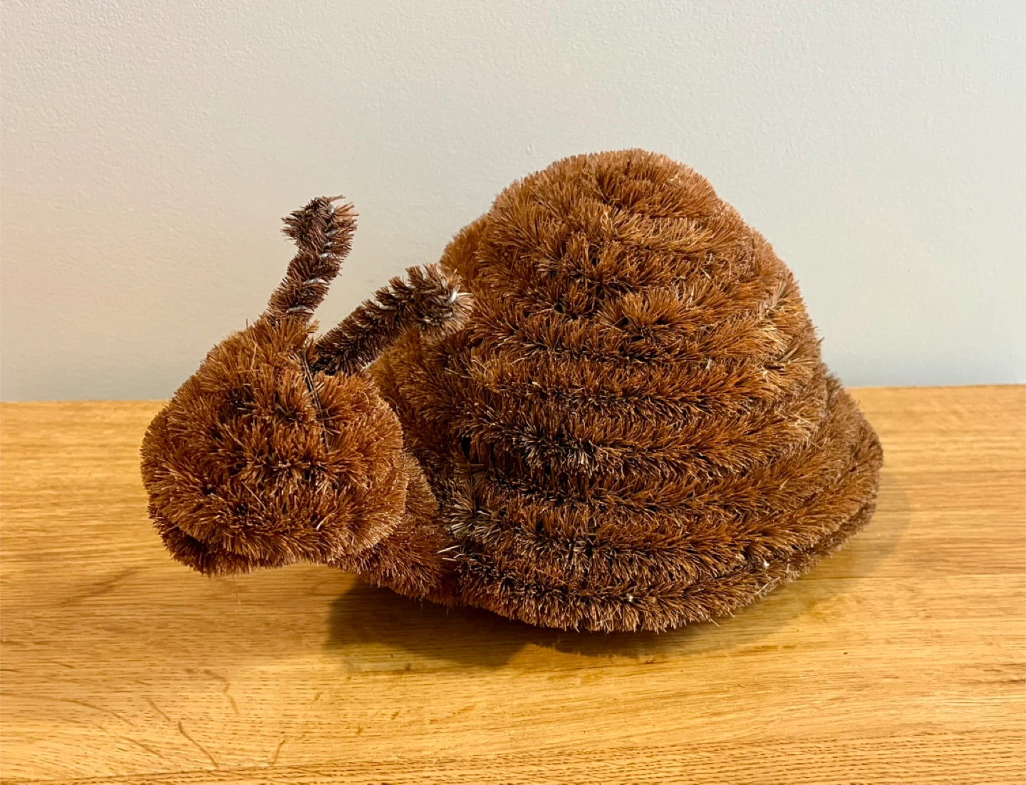 ✨NEW✨ Doormat - Decorative Snail Doormat Brush 🥕